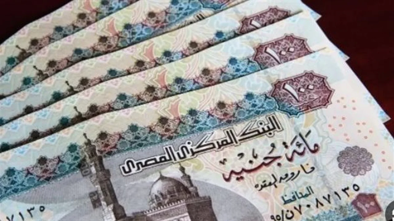 خبر سار.. قيمة زيادات مرتبات الموظفين في العام المالي الجديد
